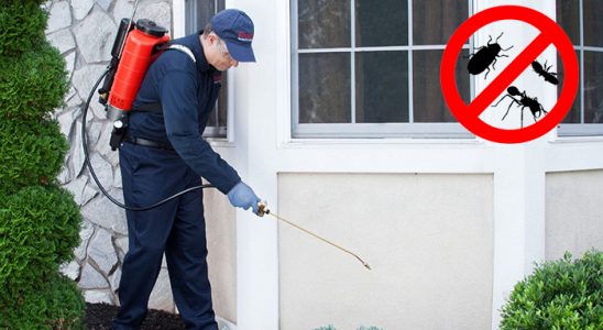 Altıntaş Dezenfeksiyon böcek ilaçlama ve haşere kontrolü — ilaclama-tr.com
